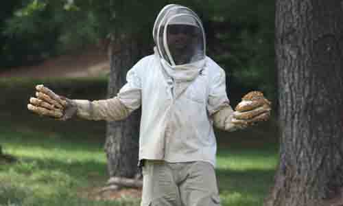 Bee Be Gone Testimonial